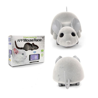 App Mouse Racer Phone Controlled Cat Toy With Android &amp; IOS Interactive