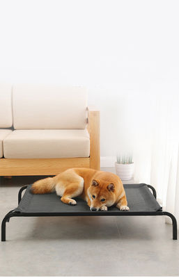 Large Size Steel Tube Folding Comfortable Pet Bed Cot Elevated dog bed With Thickened Plush Cushions