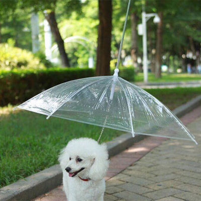 Outdoor Small Clear Transparent Pet Dog Umbrellas For Dogs Rainproof