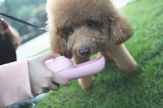 Pink Foldable Dog Water Bottle Dispenser Small Dog Mini Portable pet Kettle