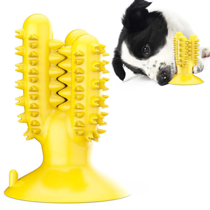 Dog Toothbrush Silicone TPR Cactus Dog Chew Toys For Teeth