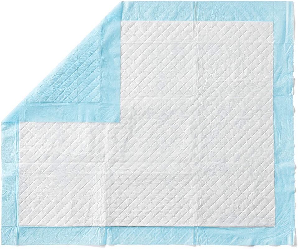 Pet Dog Diapers Super Absorbent Cat Training Urine Pee Pads Healthy Clean Wet Mat Disposable Dog Diaper Training Pad