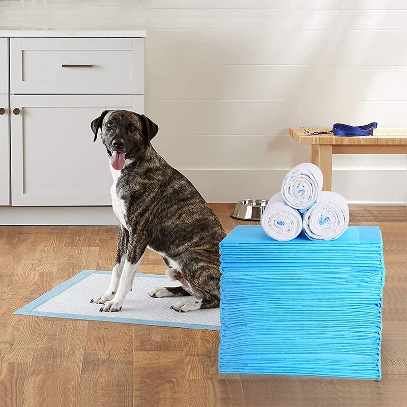 Pet Dog Diapers Super Absorbent Cat Training Urine Pee Pads Healthy Clean Wet Mat Disposable Dog Diaper Training Pad