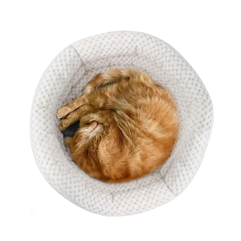 2021 Wholesale Cuddle Cup Shape Cat and Dog Bed Pets Bed with High Walls for Deep Sleep Washable Pet House