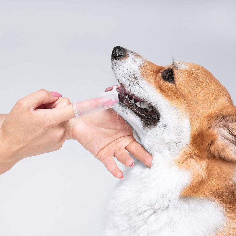 Bristle Silicone Dog Cleaning Tool Teeth Cleaning Dog Oral Care Finger Pet Toothbrush