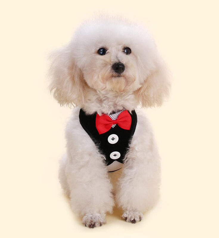 Adjustable Collar Leash Harness Set Handmade Dog Collar With Bow Tie Traction Vest Rope L 35-50cm