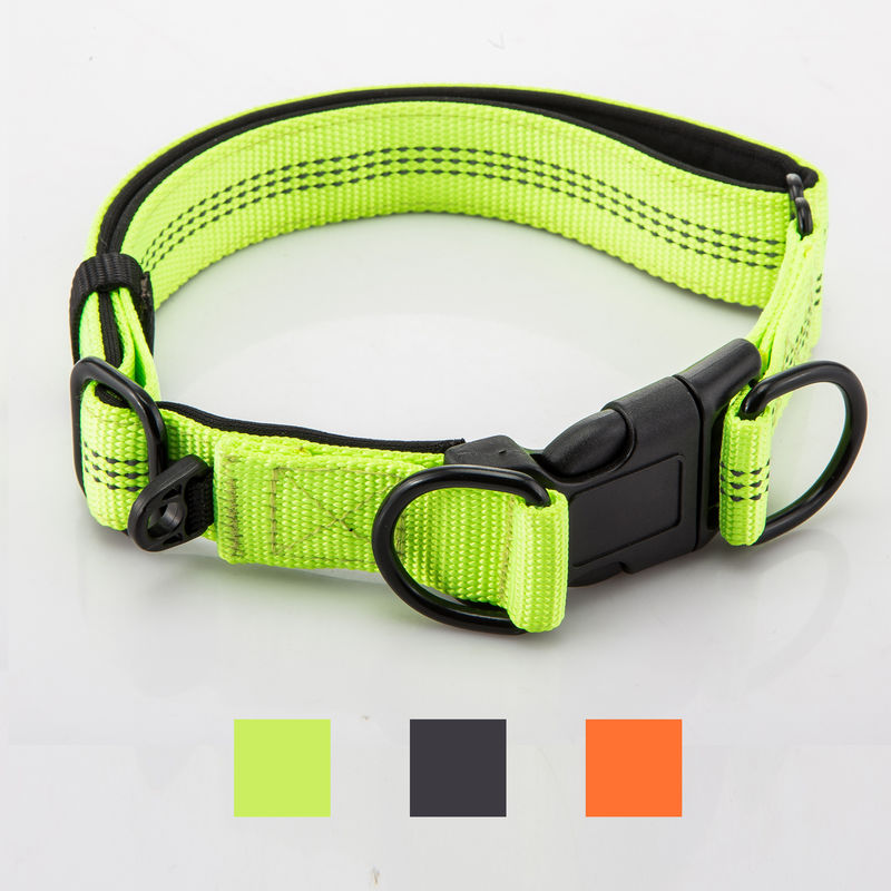 Adjustable Double D Buckles Dog Collar And Leash Set Chain Dog Nylon Lead Reflective