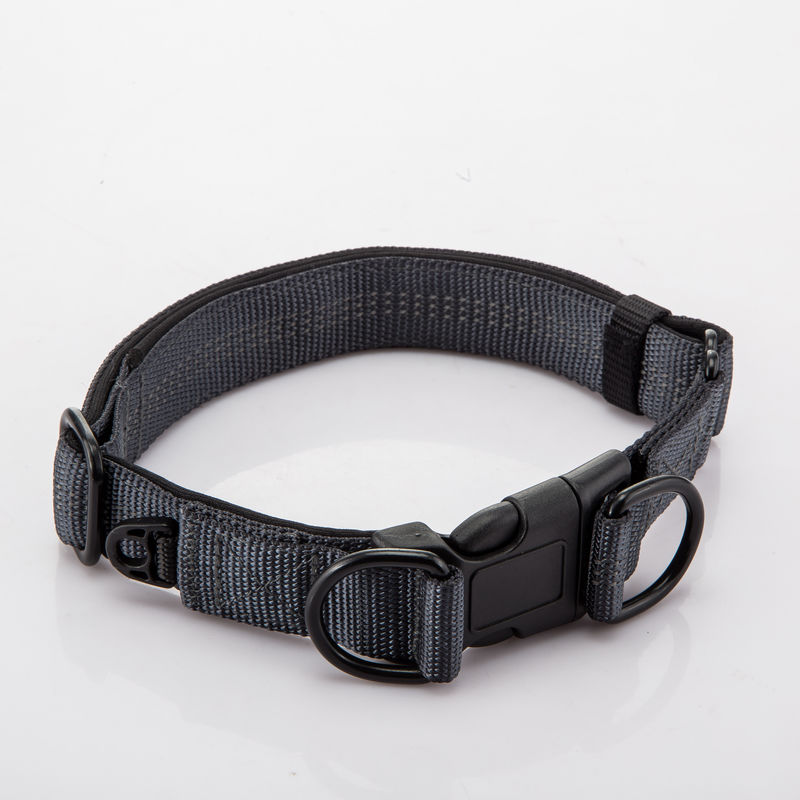 Adjustable Double D Buckles Dog Collar And Leash Set Chain Dog Nylon Lead Reflective