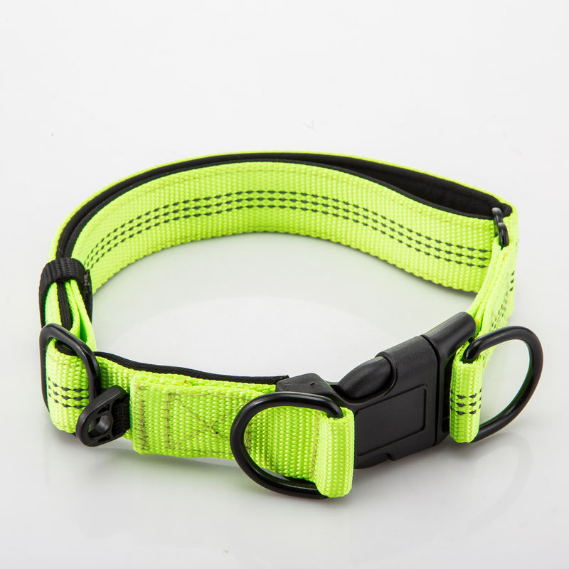 Adjustable Double D Buckles Dog Collar And Leash Set Chain Dog Nylon Lead Reflective