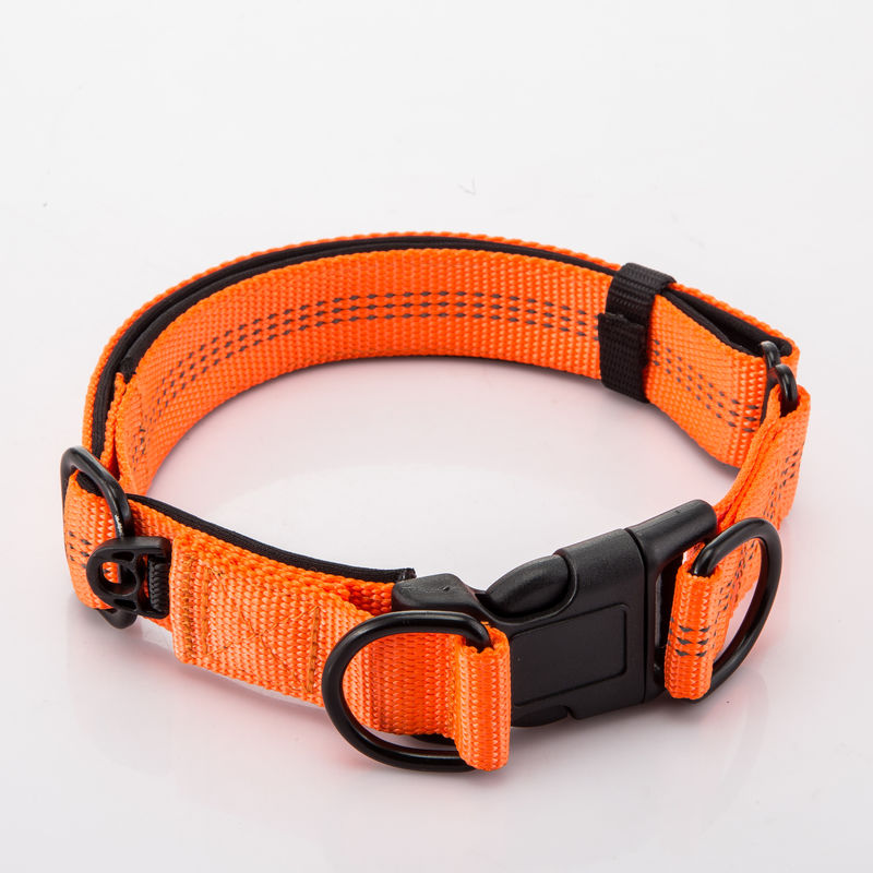 Adjustable Double D Buckles Dog Collar And Leash Set Chain Dog Nylon Lead Reflective