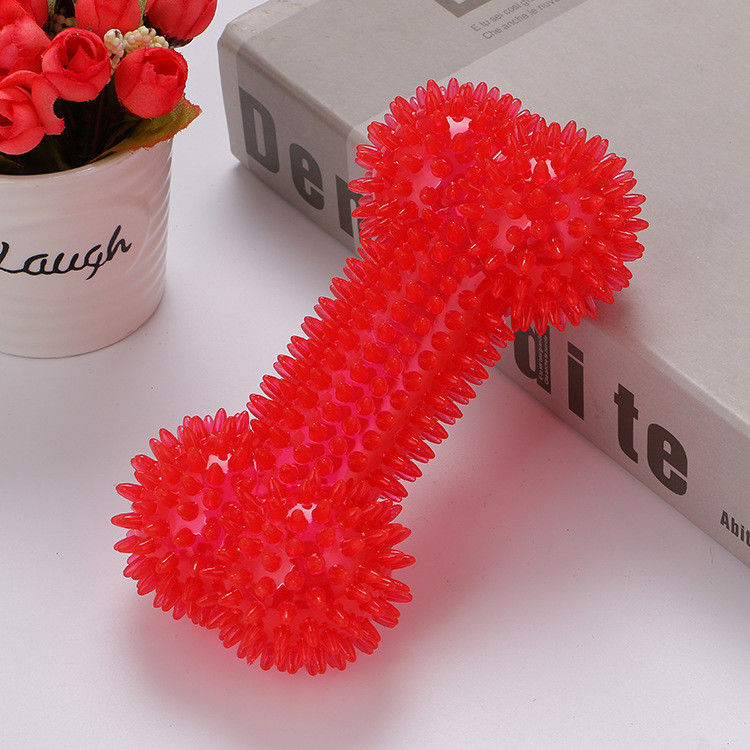 BSCI Cute Molar Dog Bite Toys Dog Chew Toys Squeaky Bone With Massage Particle