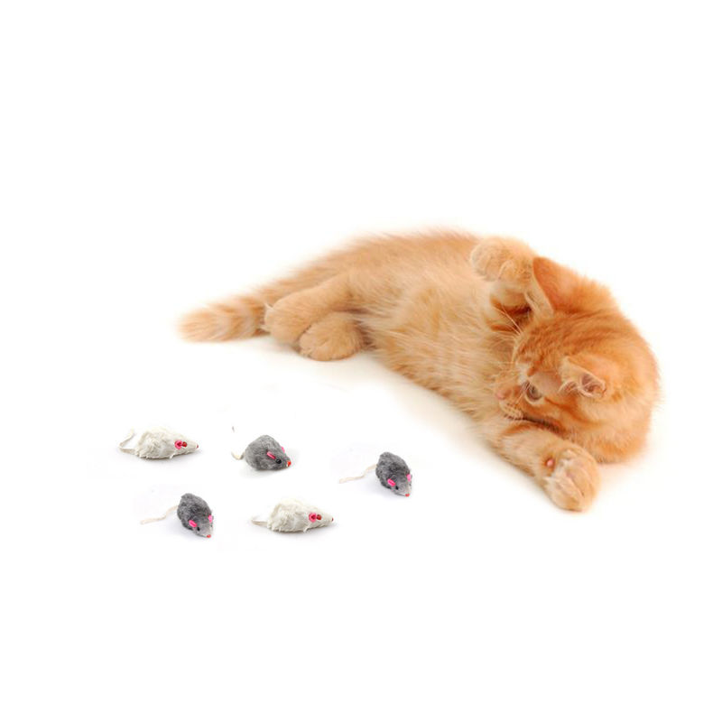 Halloween Unique Gift Bicolourable Mini Mouse Cat Toy Set With Sound
