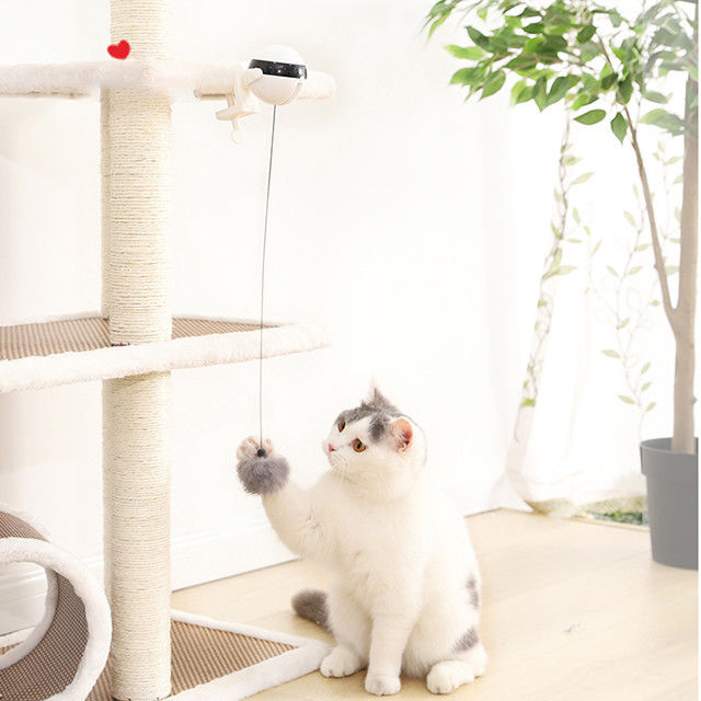 Interactive Electronic Auto Lift Ball Cat Pet Toys Funny Stick Cat Teaser Toy