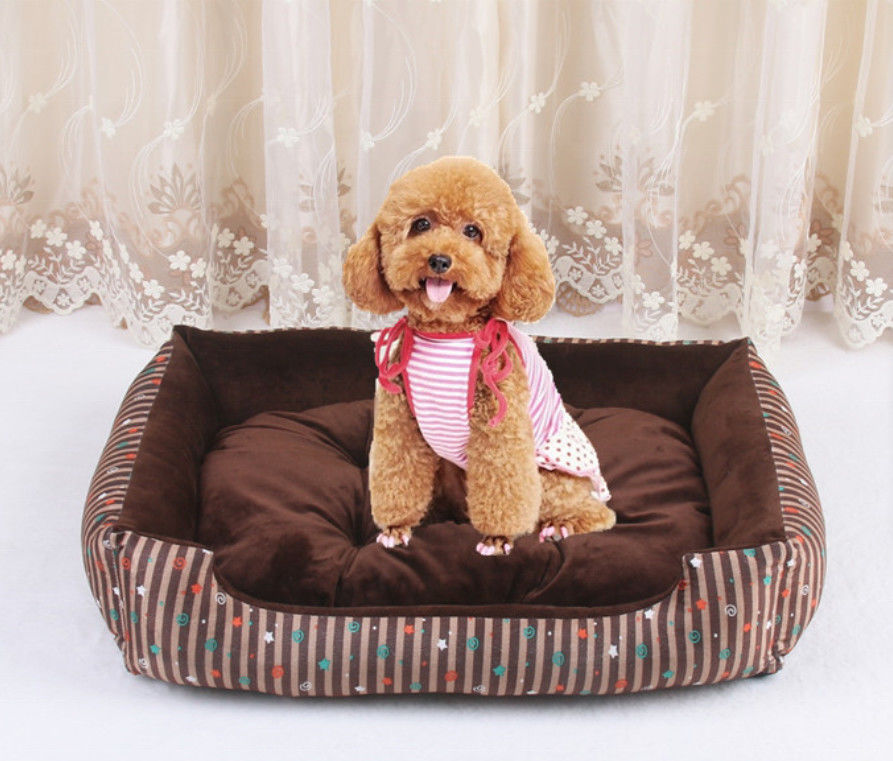 Hallupets Removable Large Comfortable Pet Bed Xl Size 1580g Luxury Dog Houses