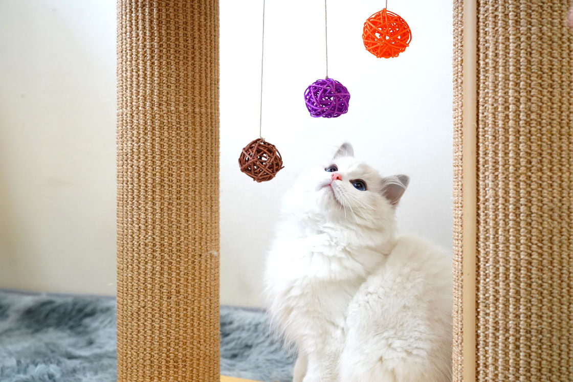 Double Layer Solid Cat Scratch Board Tree 60*30*63cm