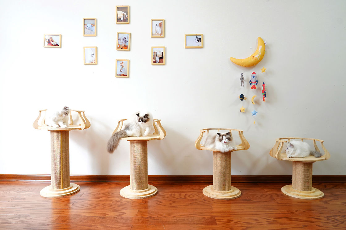 Eco Friendly Wood Scratching Cat Climbing Tree Tower Cat Photo Table L Size 72cm M 62cm