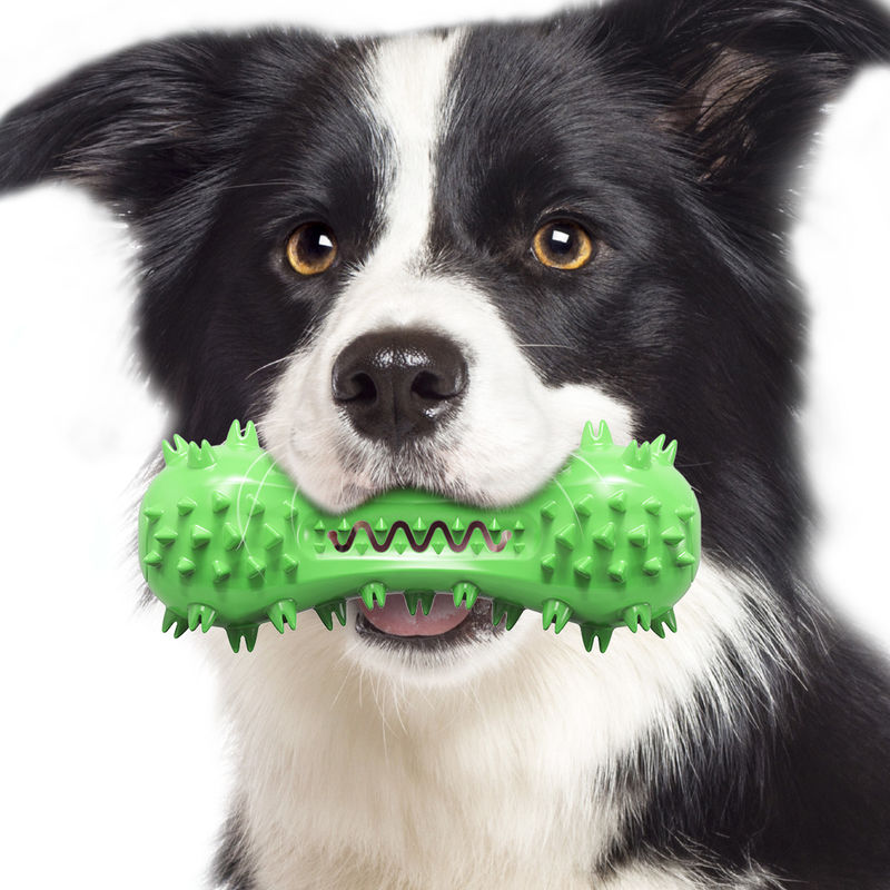 Nontoxic Natural Rubber Bite Resistant Dog Pet Toys Dog Toothbrush Toys 160g