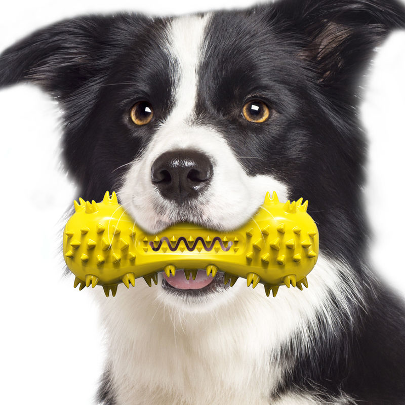 Nontoxic Natural Rubber Bite Resistant Dog Pet Toys Dog Toothbrush Toys 160g