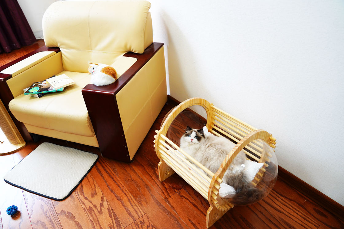 Capsule Wood Cat Bed House With Window