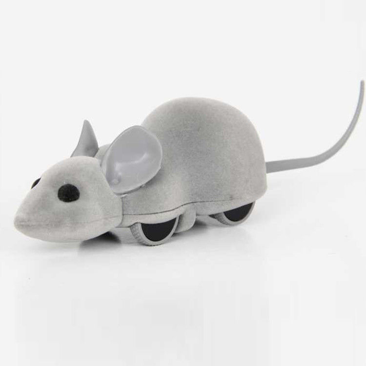 App Mouse Racer Phone Controlled Cat Toy With Android &amp; IOS Interactive