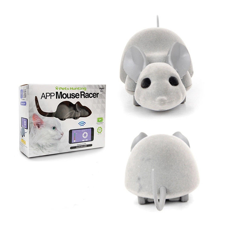 App Mouse Racer Phone Controlled Cat Toy With Android &amp; IOS Interactive