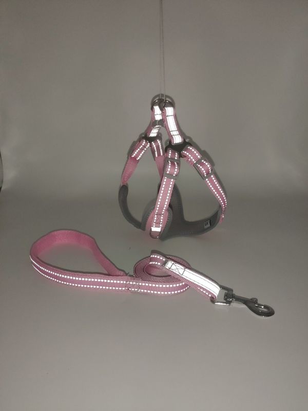 Oxford Cloth Light Reflecting Pet Collar Leash Harness Set Safety Comfortable