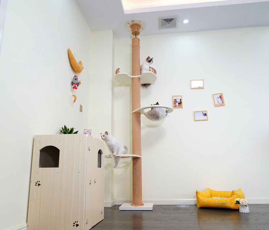 Large Wooden Cat Climbing Tree Floor To Ceiling Playing House 82*40*87cm