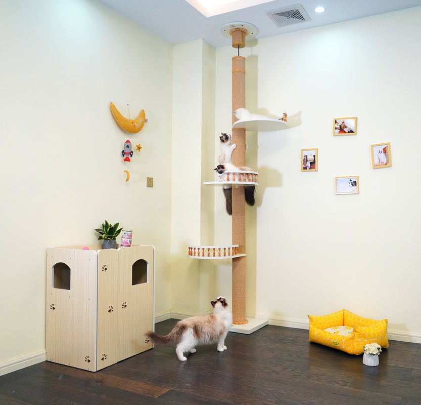 Large Wooden Cat Climbing Tree Floor To Ceiling Playing House 82*40*87cm