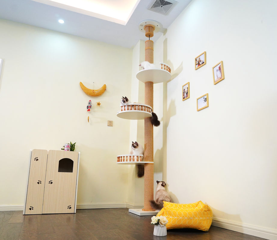Large Wooden Cat Climbing Tree Floor To Ceiling Playing House 82*40*87cm
