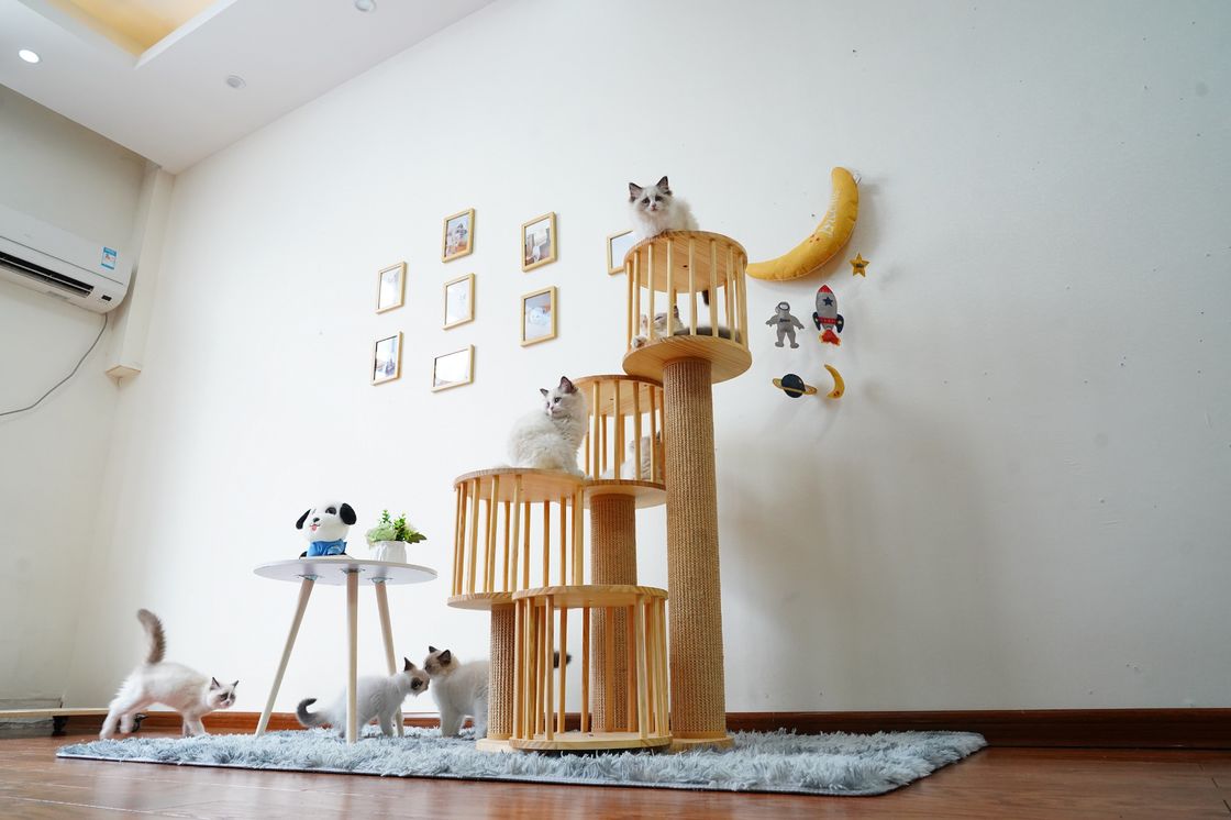 Durable House Kitten Cat Climbing Tree Tower Condo With Scratching Posts