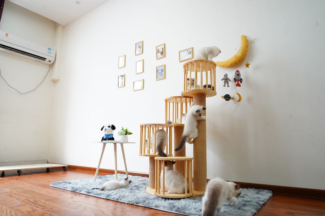 Durable House Kitten Cat Climbing Tree Tower Condo With Scratching Posts