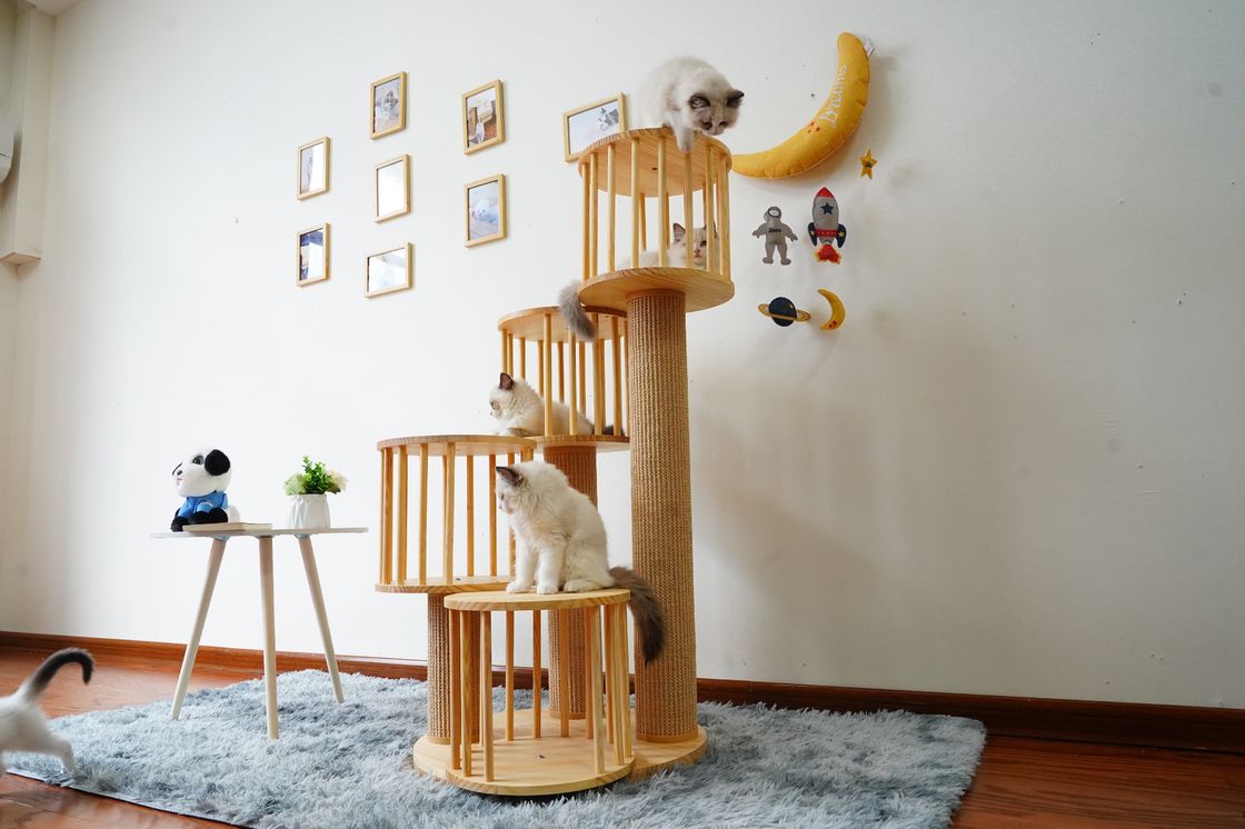 Durable House Kitten Cat Climbing Tree Tower Condo With Scratching Posts