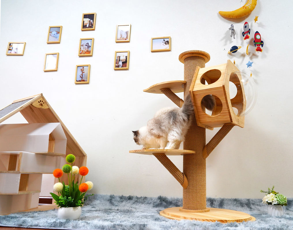Luxury Hexagon Wooden Pet Bed Cave Cat Climbing Tower With Space Capsule
