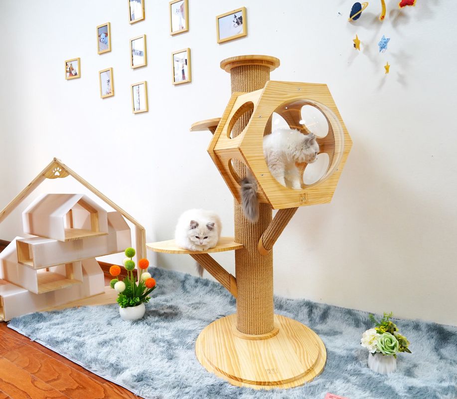 Luxury Hexagon Wooden Pet Bed Cave Cat Climbing Tower With Space Capsule