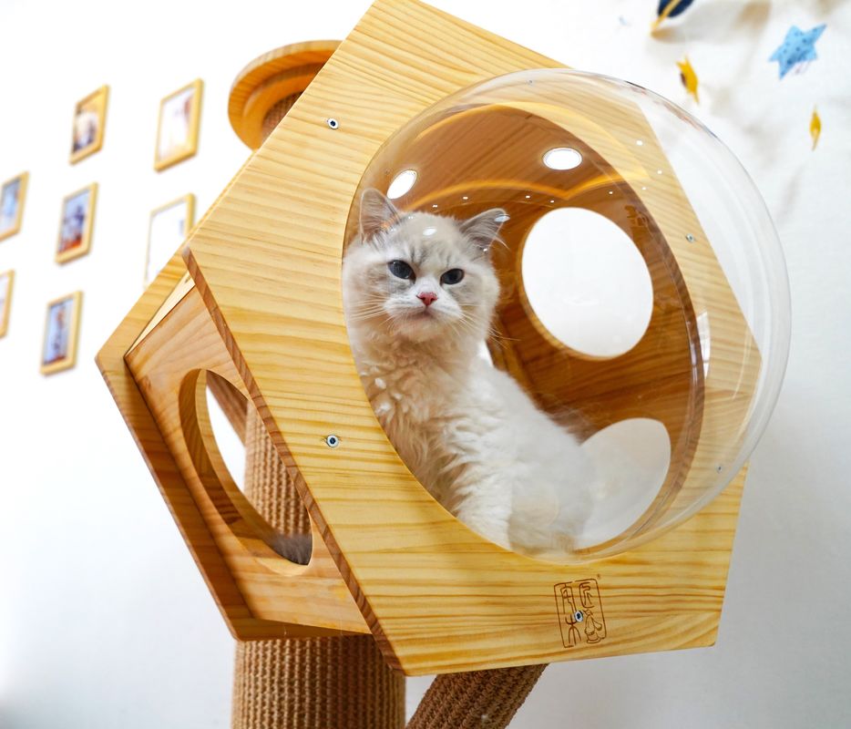 Luxury Hexagon Wooden Pet Bed Cave Cat Climbing Tower With Space Capsule