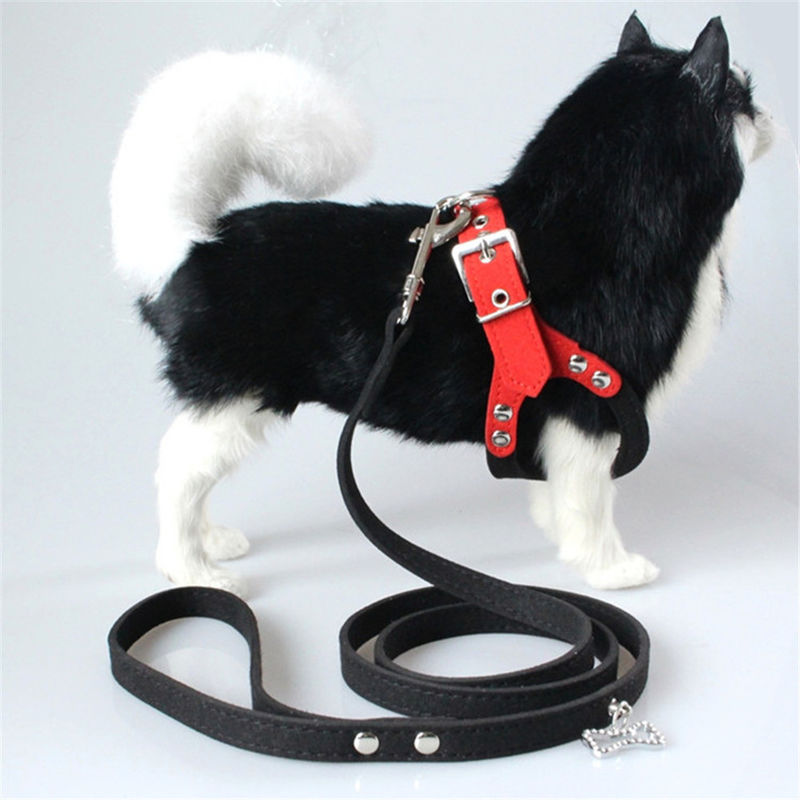 Hallupets Soft Mesh Padded Collar Leash Harness Set Dog Chest And Back Traction