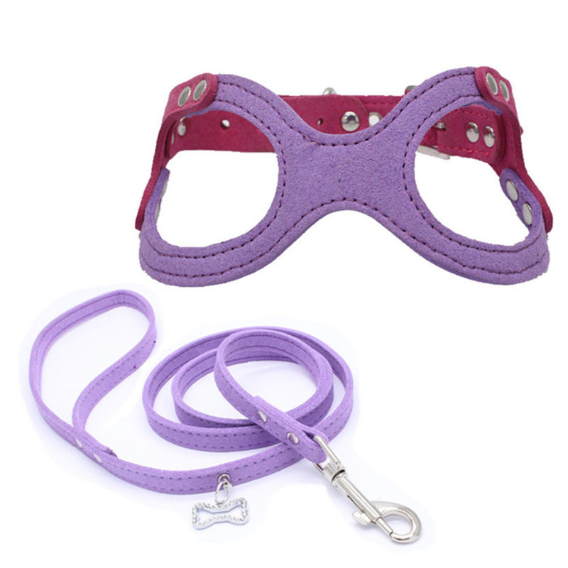 Hallupets Soft Mesh Padded Collar Leash Harness Set Dog Chest And Back Traction