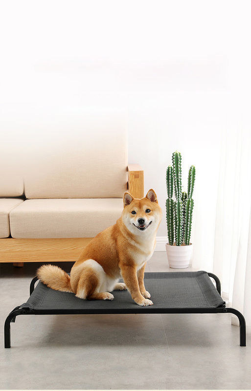 Large Size Steel Tube Folding Comfortable Pet Bed Cot Elevated dog bed With Thickened Plush Cushions