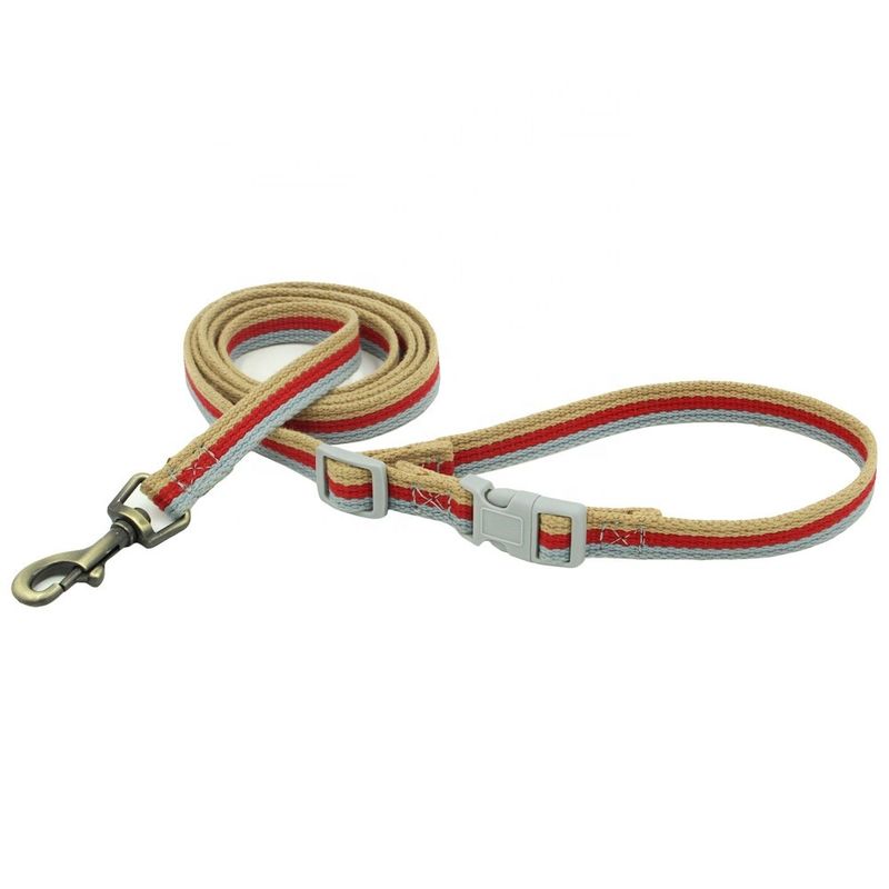 Engraved Bronze Alloy Buckle Rope Dog Leash 3 Color Webbing Collar And Leash Set