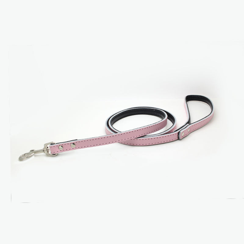 Custom Puppy Popular Pet Dog Leather Collar Dog Leash