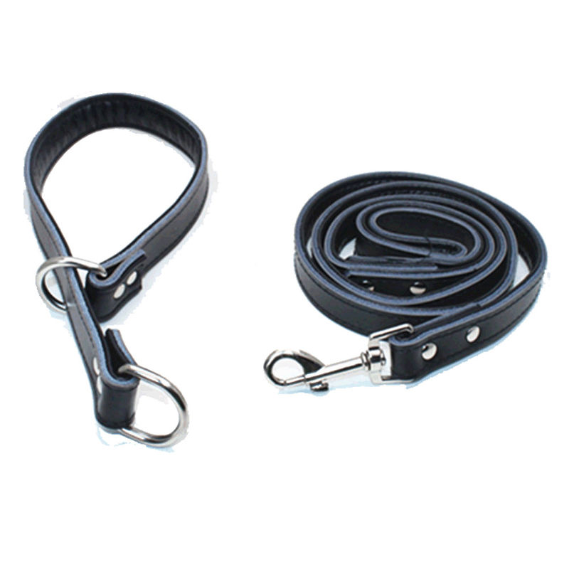 Custom Puppy Popular Dog Collar And Leash Set Adjustable Genuine Leather P Dog Choke Chain