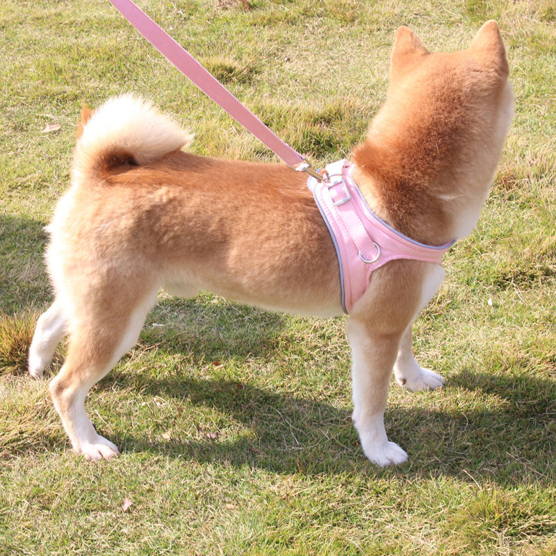 New Suede Reflective Red Dog Leash Vest Explosion Proof