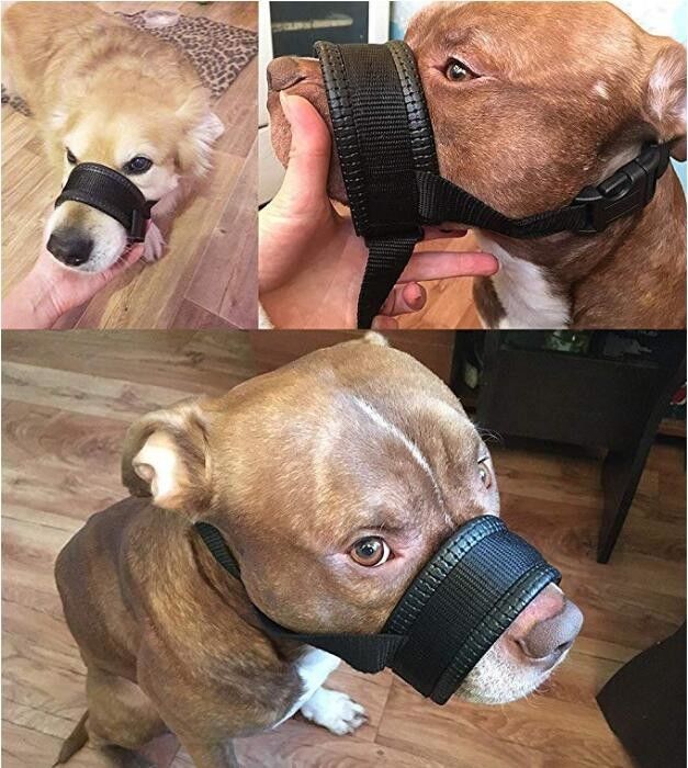 Nylon Dog Muzzle Collar Leash Harness Set Soft Padded Dog Mouth Cover Anti Bite