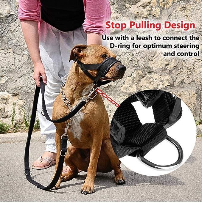 Nylon Dog Muzzle Collar Leash Harness Set Soft Padded Dog Mouth Cover Anti Bite