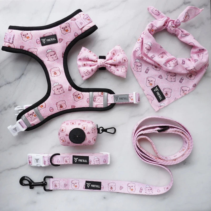 Soft Mesh Nylon Pattern Dog Collar and Leash Set
