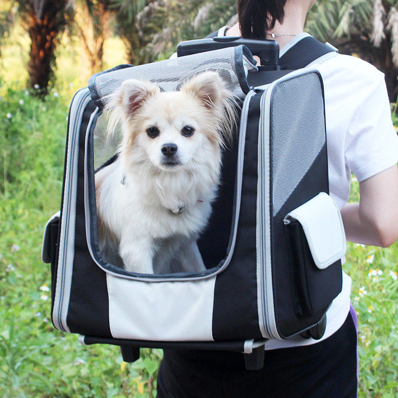 Telescopic Handle Pet Travel Carrier Backpack Trolley For Small Dogs And Cats