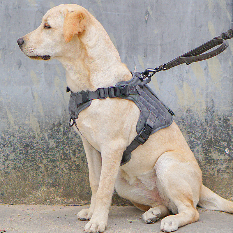 Tactical Military Vest Dog Harness With Tactical Buckle ODM Molle Safety for Service &amp; Training Military Dog Vest