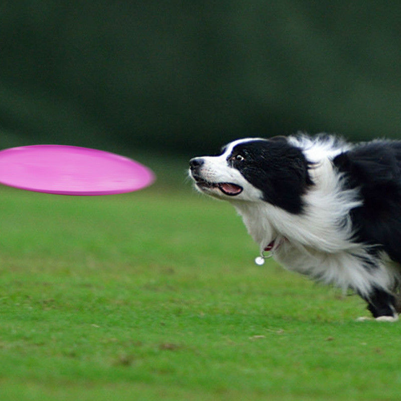 Silica Gel Outdoor Dog Flying Disk Dog Fetch Training Toy