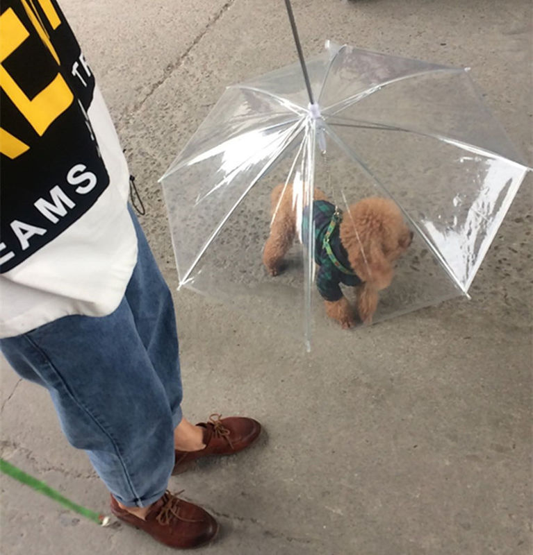 Outdoor Small Clear Transparent Pet Dog Umbrellas For Dogs Rainproof