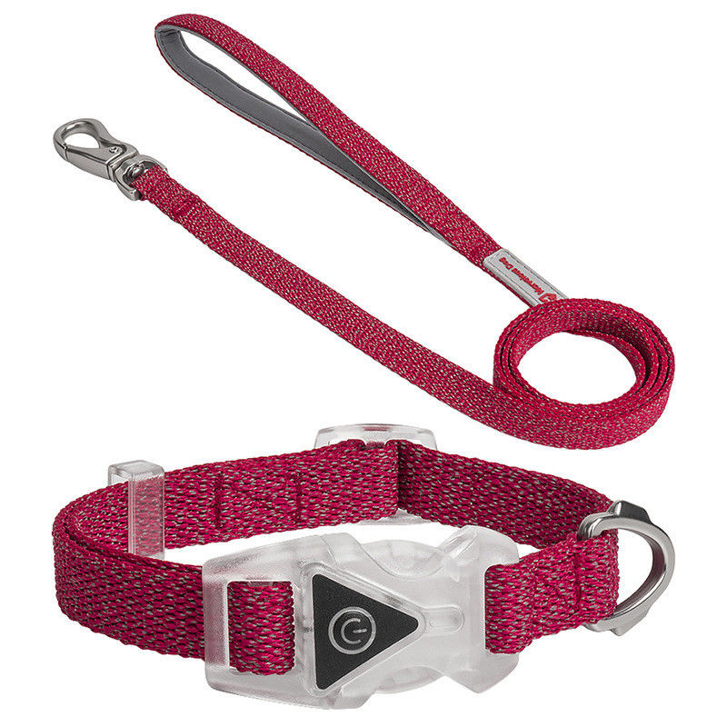 Led Dog Pet Collars Leash Set Adjustable Decorative Nylon Rope Dog Leash Reflective Dog Leash